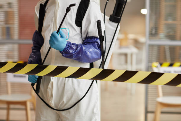 Professional Sewage Cleanup technician working in Kingston, NH